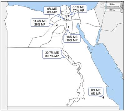 Cross-sectional analysis of Piroplasma species-infecting camel (Camelus dromedaries) in Egypt using a multipronged molecular diagnostic approach